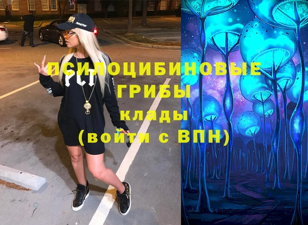 первитин Тында