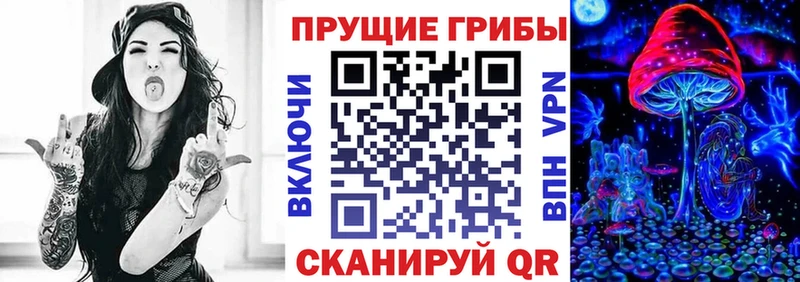 Купить где  Кашин  Псилоцибиновые грибы GOLDEN TEACHER 